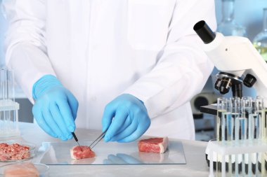 Bilim adamı İnceleme et örnek laboratuvarında. Gıda kalite kontrolü