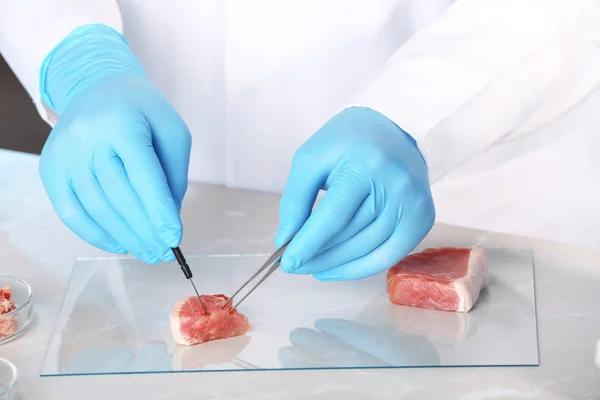 Wetenschapper Inspecteert Vleesmonster Laboratorium Close Voedselkwaliteitscontrole — Stockfoto