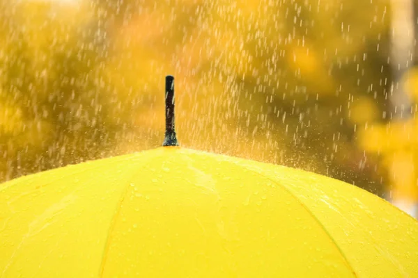 Paraguas Color Brillante Bajo Lluvia Aire Libre Primer Plano — Foto de Stock