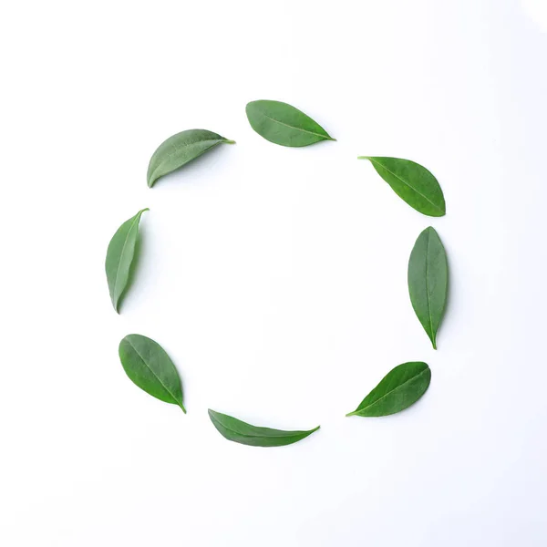 Νωπά Εσπεριδοειδή Πράσινα Φύλλα Άσπρο Φόντο Top View Χώρο Για — Φωτογραφία Αρχείου