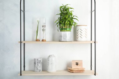 Yeşil şanslı bambu pot ve dekor ışık duvar rafları