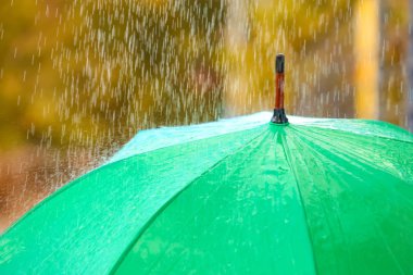 Bright color umbrella under rain outdoors, closeup clipart