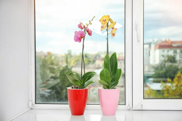 Lindas Flores Orquídeas Tropicais Vasos Peitoril Janela — Fotografia de Stock