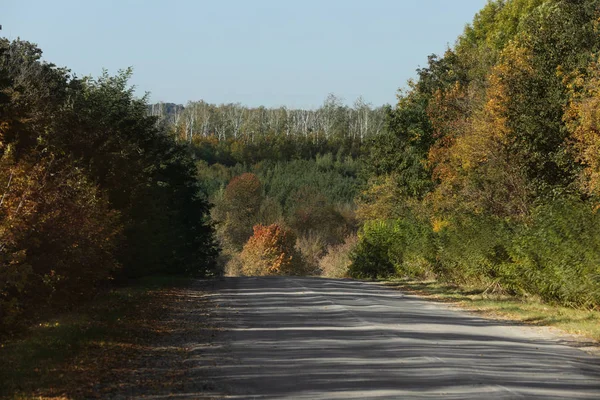 Piękny Widok Kraju Road Jesień Las — Zdjęcie stockowe