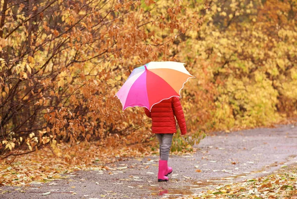 秋の公園で散歩を雨の日に傘を持つ少女 — ストック写真