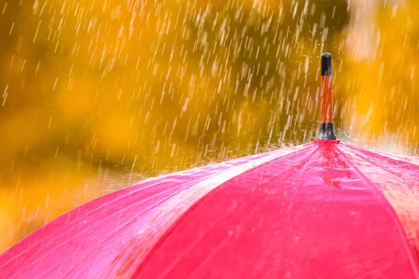 Ombrello Colore Brillante Sotto Pioggia All Aperto Primo Piano — Foto Stock