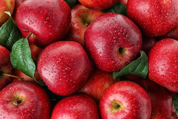 Många Mogna Saftiga Röda Äpplen Täckt Med Vattendroppar Som Bakgrund — Stockfoto