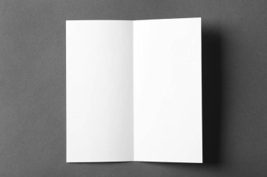 Boş broşür renk arka plan üzerinde sahte kadar