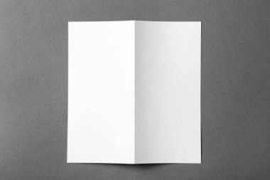 Boş broşür renk arka plan üzerinde sahte kadar