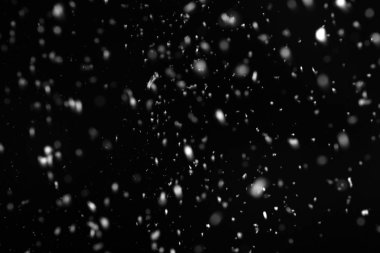 Siyah arka plan üzerine düşen kar gevreği. Kış hava