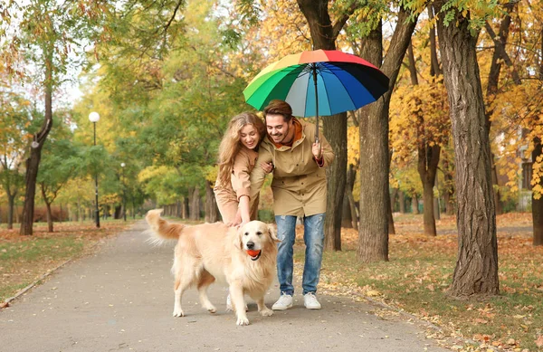 Junges Paar Mit Regenschirm Und Hund Geht Park Spazieren — Stockfoto