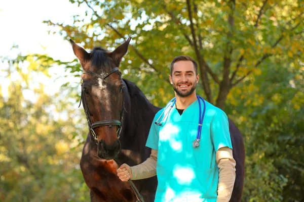 Lekarz Weterynarii Mundurze Zewnątrz Piękny Koń Brązowy — Zdjęcie stockowe