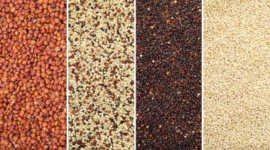 Quinoa, üstten görünüm farklı tipleri ile ayarla