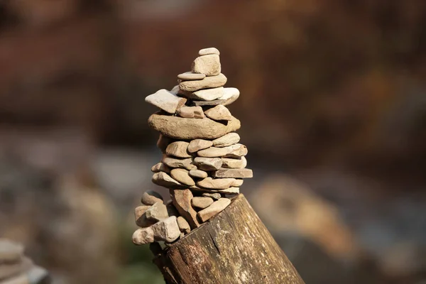 Torre Piedras Sobre Tronco Árbol Bosque Balance Vida — Foto de Stock