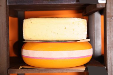 Lezzetli peynir raf raf mağaza. Süt ürünleri