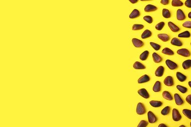 Birçok çam fıstığı kabuk ve renk arka plan, üstten görünüm üzerinde metin için yer