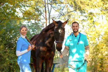 Güzel kahverengi at açık havada üniformayla veterinerler
