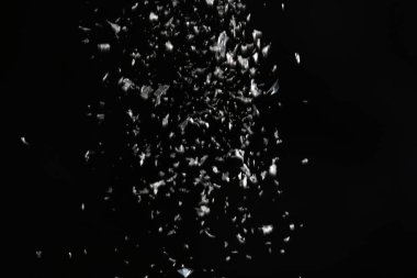 Siyah arka plan üzerine düşen kar gevreği. Kış hava