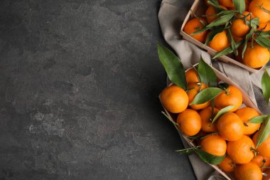 Taze olgun mandalina ve gri arka plan üzerinde metin için yer düz yatıyordu kompozisyonu