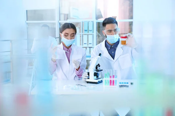 Jonge Wetenschappers Werken Het Laboratorium Chemische Analyse — Stockfoto