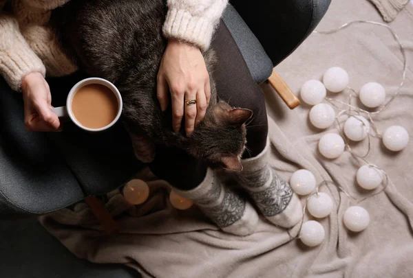 アームチェア トップ ビューで座っているかわいい猫と暖かいセーターの女性 — ストック写真