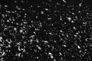Siyah arka plan üzerine düşen kar gevreği. Kış hava