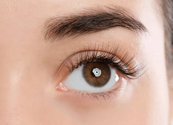 Young Woman Beautiful Eyelashes Closeup View — Stock Photo, Image