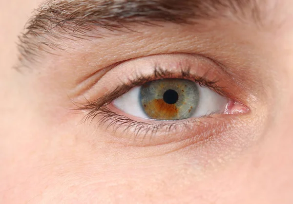 Jeune Homme Beau Concentre Toi Sur Les Yeux Examen Visuel — Photo