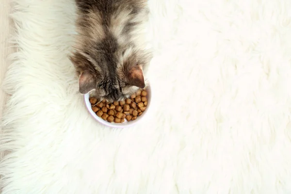 Adorable Maine Coon cat near bowl of food on fluffy rug at home, top view. Space for text