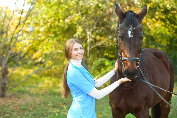 美しい茶色の馬を屋外で制服で獣医 テキストのためのスペース — ストック写真