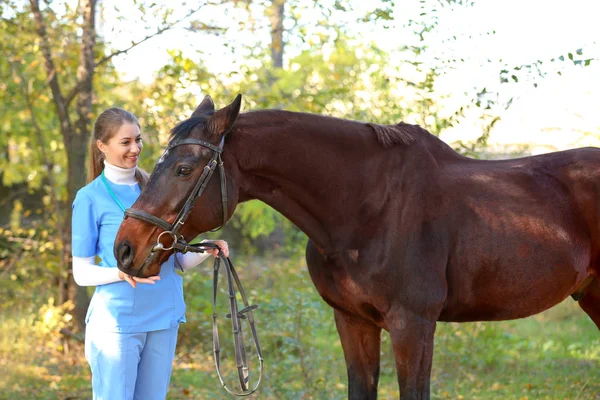 Veterinário Uniforme Com Belo Cavalo Marrom Livre — Fotografia de Stock