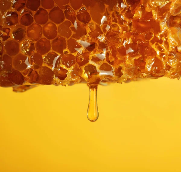 Honung Droppade Från Kam Färg Bakgrunden Närbild Utrymme För Text Royaltyfria Stockfoton