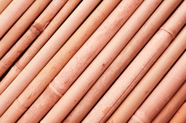 Kuru boyalı bambu sopalarla Mercan rengi arka plan olarak yaşayan, sayfa görünümü
