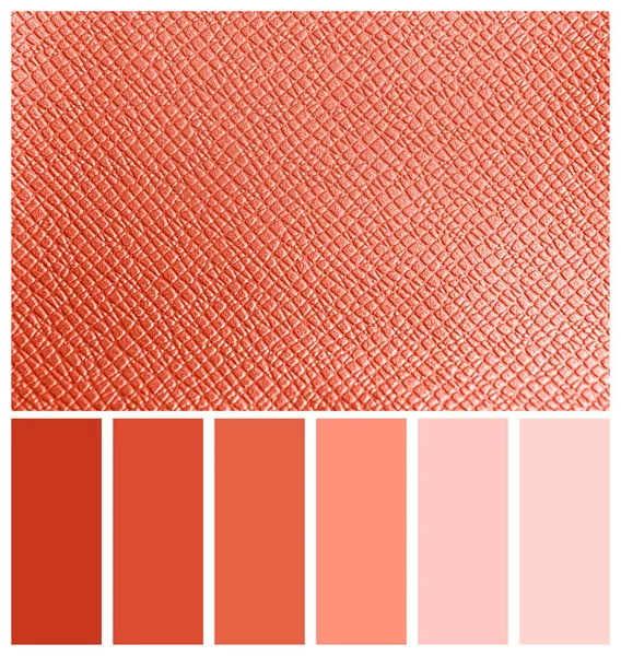 Leather texture as background. Palette with living coral color