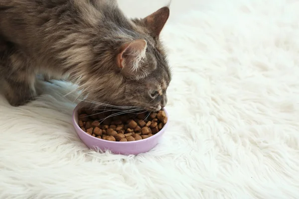 Adorable Maine Coon cat near bowl of food on fluffy rug at home. Space for text