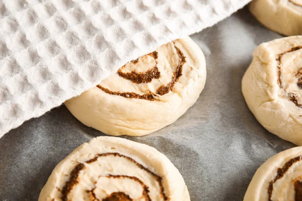 Raw cinnamon rolls and towel on parchment, closeup