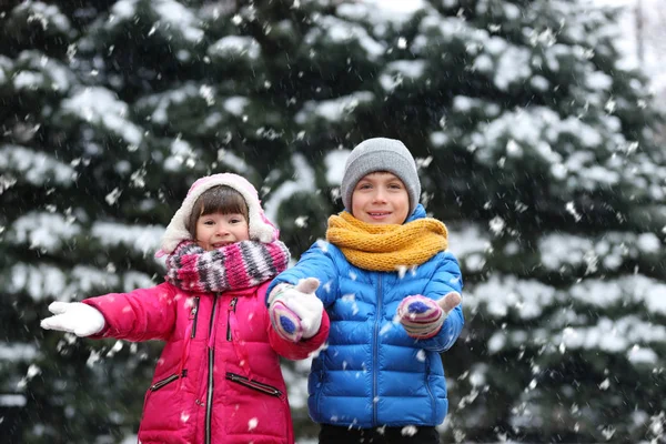 Χαρούμενα Παιδιά Που Παίζουν Εξωτερικούς Χώρους Στη Χιονισμένη Μέρα — Φωτογραφία Αρχείου