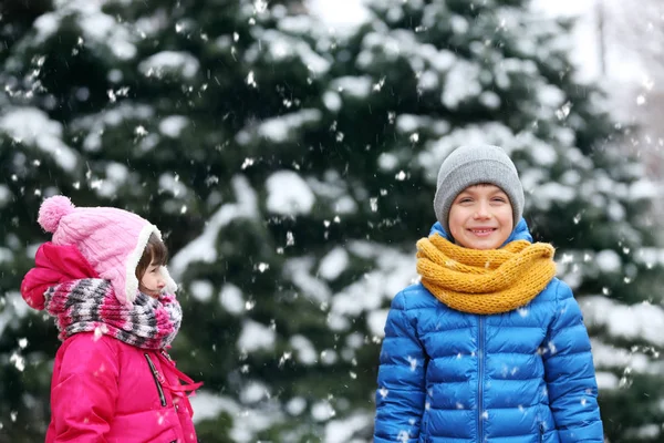 Ευτυχισμένα Παιδιά Ζεστά Ρούχα Εξωτερικούς Χώρους Στη Χιονισμένη Μέρα — Φωτογραφία Αρχείου