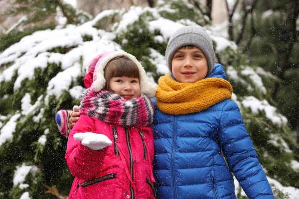 Ευτυχισμένα Παιδιά Κοντά Στο Δέντρο Έλατου Καλυμμένα Χιόνι Χειμερινή Ημέρα — Φωτογραφία Αρχείου