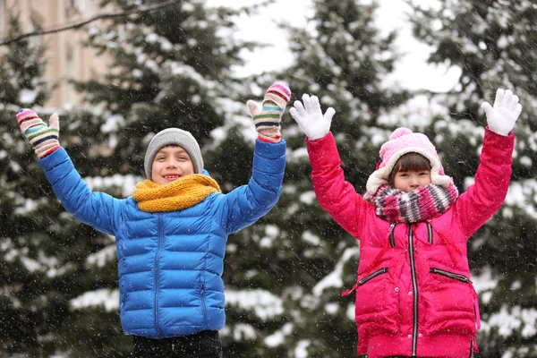 Χαρούμενα Παιδιά Που Παίζουν Κοντά Έλατα Που Καλύπτονται Χιόνι Χειμερινή — Φωτογραφία Αρχείου