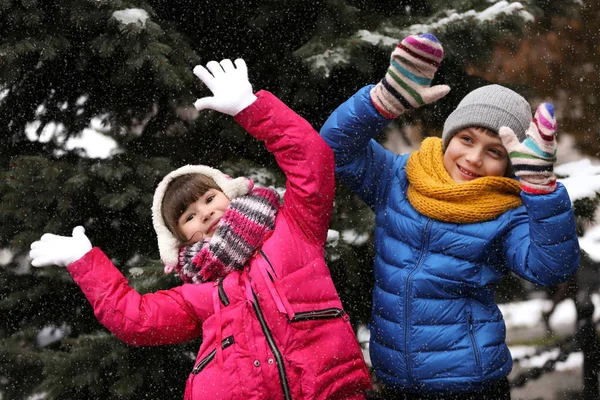 Χαρούμενα Παιδιά Που Παίζουν Κοντά Έλατο Καλυμμένα Χιόνι Χειμερινή Ημέρα — Φωτογραφία Αρχείου