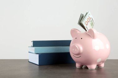 Dolar ve beyaz arka plan karşı masada kitaplar ile Piggy banka