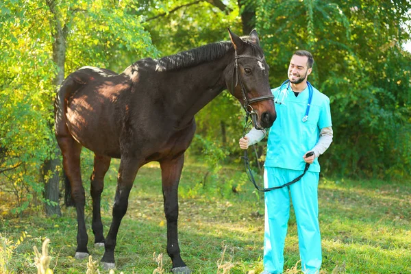 Veterinário Uniforme Com Belo Cavalo Marrom Livre — Fotografia de Stock