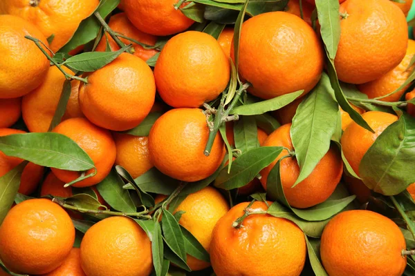 许多成熟的橘子 以叶子为背景 顶视图 — 图库照片