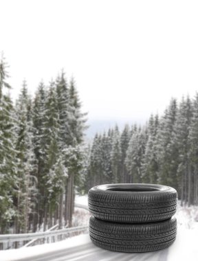 Kış lastikleri orman karayolu üzerinde kümesi. Araba servisi