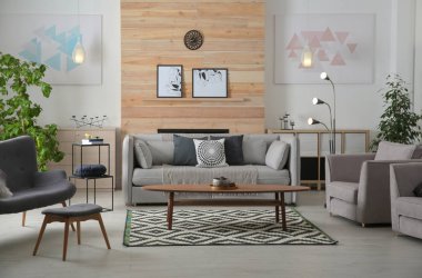 Şık salon iç rahat ve dekoratif elemanları