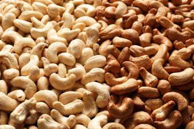 Arka plan olarak organik kaju fıstığı. Lezzetli Aperatif