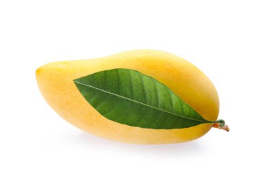Yeşil yaprak üzerinde beyaz izole taze olgun mango