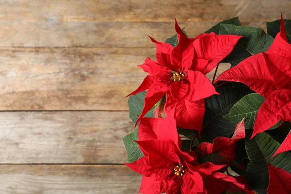 Poinsettia Fiore Tradizionale Natale Tavolo Legno Vista Dall Alto Spazio — Foto Stock