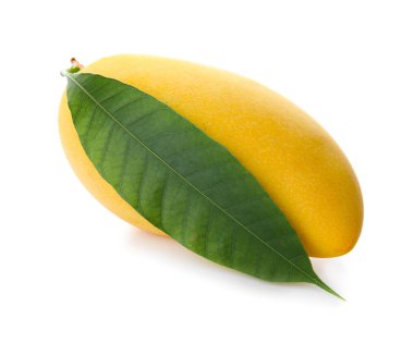 Yeşil yaprak üzerinde beyaz izole taze olgun mango